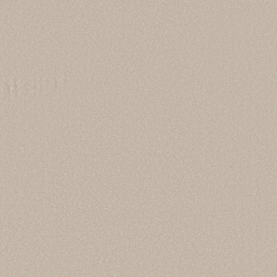 A close-up of Awaken Spirit Pet Friendly Carpet in Spun Wool reveals its smooth, beige, subtly textured surface and modern style—bringing comfort and contemporary appeal to any space.