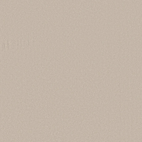 A close-up of Awaken Spirit Pet Friendly Carpet in Spun Wool reveals its smooth, beige, subtly textured surface and modern style—bringing comfort and contemporary appeal to any space.