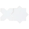 Star White Polished & Cross White Polished