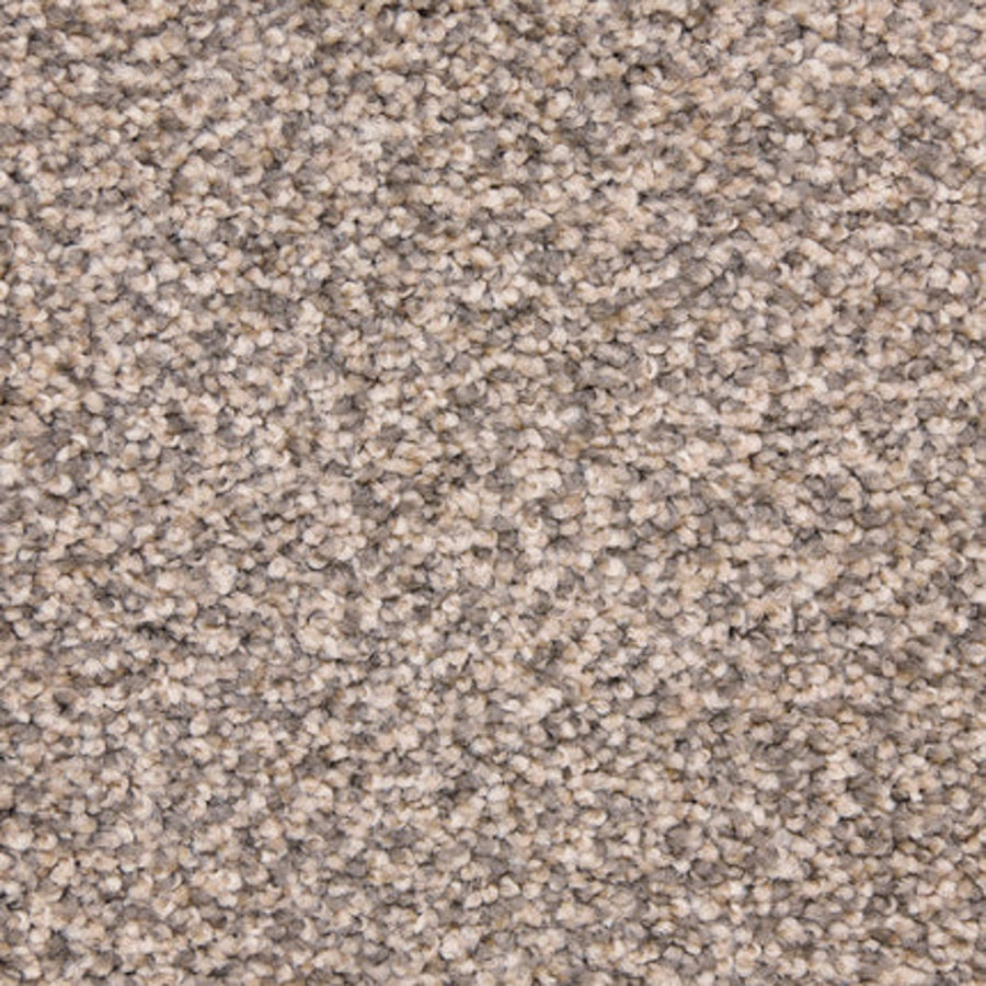 Close-up of Maroon Bells Family Friendly Carpet in Statement, showing its beige and light brown speckled, looped texture. Dense, soft fibers provide a comfortable and durable surface ideal for family spaces.