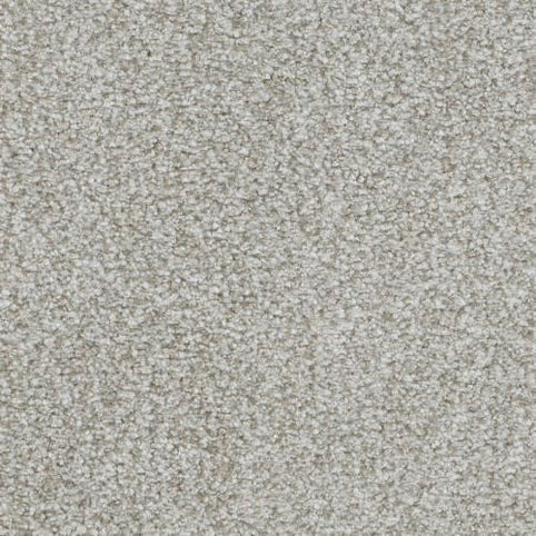 Close-up of Boca Raton Family Friendly Carpet in Steadfast, featuring a light gray tone and soft looped fibers, offering premium comfort and elegance perfect for family-friendly Boca Raton floors.