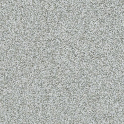 Steady Green Boca Raton Family Friendly Carpet features a soft, dense pile and durable, premium materials—ideal for floors needing comfort and resilience.