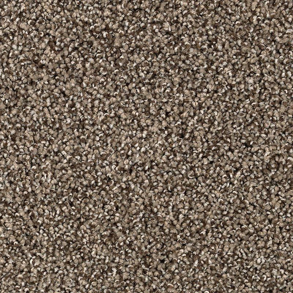 Close-up of the Shaded Escape Family Friendly Carpet in Steel Gray, featuring a durable loop-pile design with a densely woven surface and plush texture.