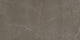 Callie 12x24 Polished Porcelain Tile - Mocha