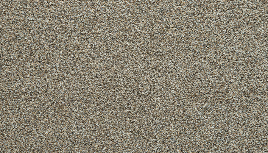 Close-up of fine light brown sand grains forming a dense, textured surface with subtle variations in color and shadow—reminiscent of the inviting comfort found in the plush Cozy Companion Pet Friendly Carpet in Stillness.