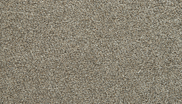 Close-up of fine light brown sand grains forming a dense, textured surface with subtle variations in color and shadow—reminiscent of the inviting comfort found in the plush Cozy Companion Pet Friendly Carpet in Stillness.