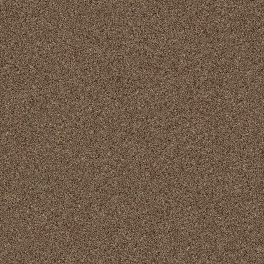 A close-up of Canyon Lake Family Friendly Carpet in Stone Age color shows a uniform, textured brown surface with fine, evenly distributed granules—evoking the contemporary look and resilience of modern flooring.