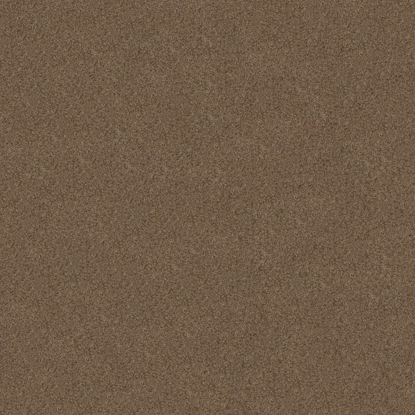 A close-up of Canyon Lake Family Friendly Carpet in Stone Age color shows a uniform, textured brown surface with fine, evenly distributed granules—evoking the contemporary look and resilience of modern flooring.