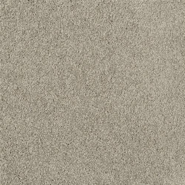Close-up of Oceanside Family Friendly Carpet in Stone Bridge color, featuring a dense, soft pile with a uniform texture for plush, comfortable, and inviting flooring perfect for any home.