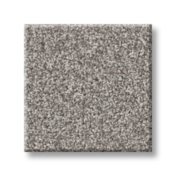 A square sample of Imaginable I Family Friendly Carpet in the color Stone Path, featuring a soft, plush texture in light gray, displayed on a white background.