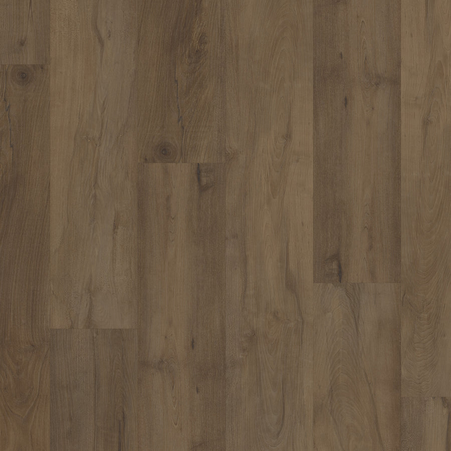 Close-up of Coretec Pro Plus HD 7" Vinyl Plank flooring in medium brown, featuring visible wood grain and natural knots for a rustic look. This luxury vinyl is durable and waterproof, ideal for stylish and practical spaces.