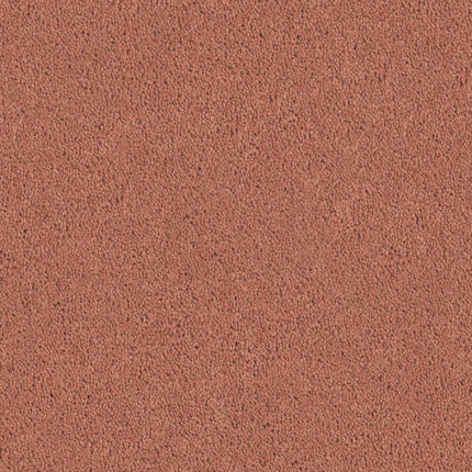 Close-up of Tribute Family Friendly Carpet in Strada color, showing its textured, durable surface—perfect for high-traffic, family-friendly spaces.