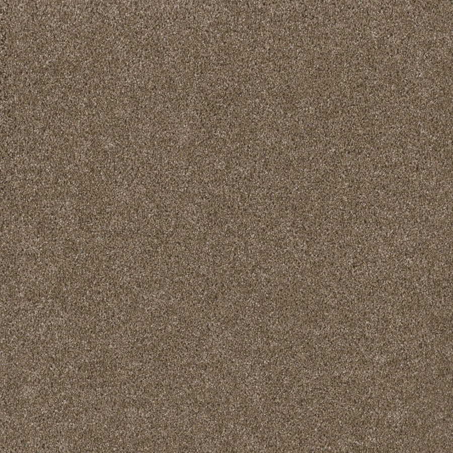 Close-up view of Stunning Family Friendly Carpet in Acorn—features a soft, dense, textured surface with consistent color and stain-resistant qualities throughout.
