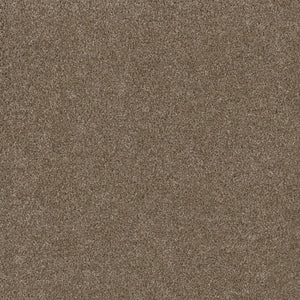 Close-up view of Stunning Family Friendly Carpet in Acorn—features a soft, dense, textured surface with consistent color and stain-resistant qualities throughout.