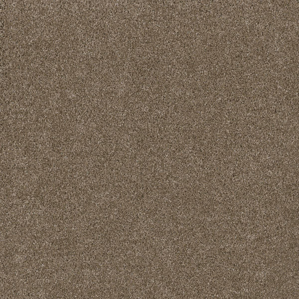 Close-up view of Stunning Family Friendly Carpet in Acorn—features a soft, dense, textured surface with consistent color and stain-resistant qualities throughout.