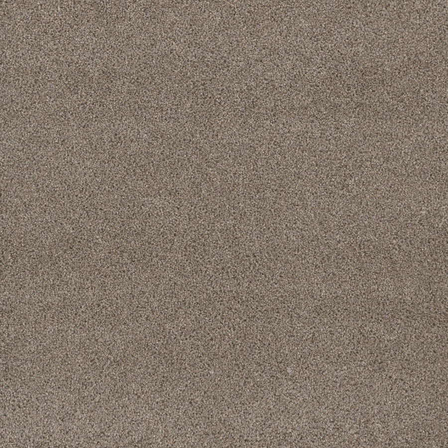 A close-up of the Stunning Family Friendly Carpet in Ash, showcasing its uniform texture and fine, light brown surface—combining luxury flooring aesthetics with a soft, family-friendly appeal.