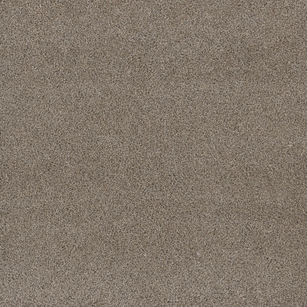 A close-up of the Stunning Family Friendly Carpet in Ash, showcasing its uniform texture and fine, light brown surface—combining luxury flooring aesthetics with a soft, family-friendly appeal.