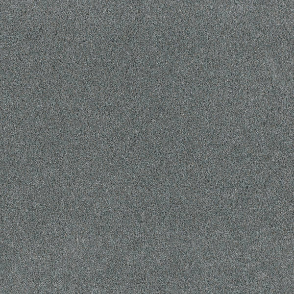A close-up of the Stunning Family Friendly Carpet in Galactic, featuring a flat gray surface with fine, grainy texture—perfect for inspiring stain-resistant carpet designs that bring modern luxury to any home.