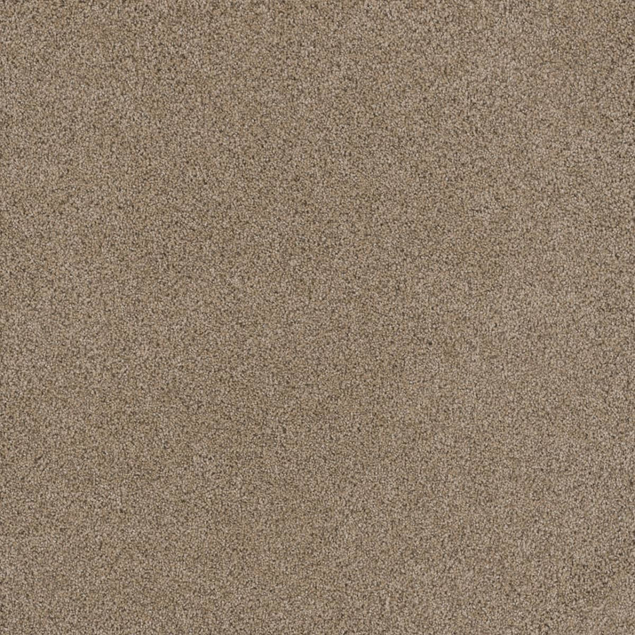 A close-up of the Stunning Family Friendly Carpet in Ginger, showing its uniform, fine texture and rich light brown color—blending comfort and style for a luxurious, family-friendly floor.
