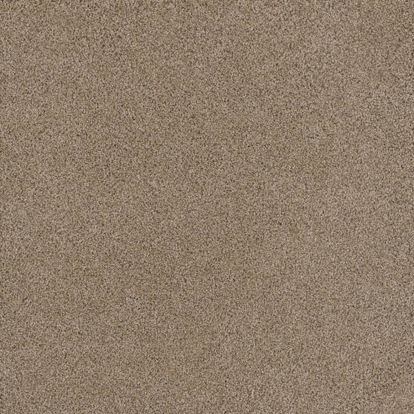 A close-up of the Stunning Family Friendly Carpet in Ginger, showing its uniform, fine texture and rich light brown color—blending comfort and style for a luxurious, family-friendly floor.