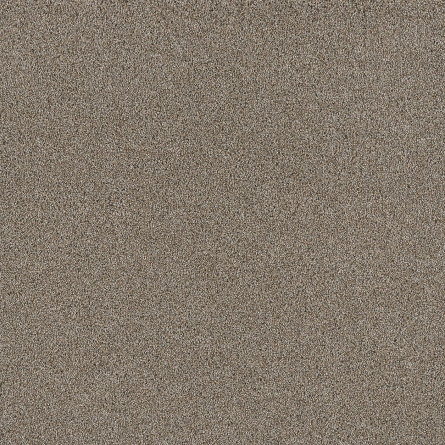 Close-up view of the Stunning Family Friendly Carpet in Iron Frost, featuring finely textured fibers for a sophisticated, natural look—perfect for adding elegance and family-friendly durability to any space.