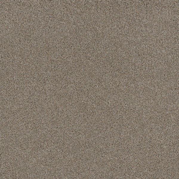Close-up view of the Stunning Family Friendly Carpet in Iron Frost, featuring finely textured fibers for a sophisticated, natural look—perfect for adding elegance and family-friendly durability to any space.
