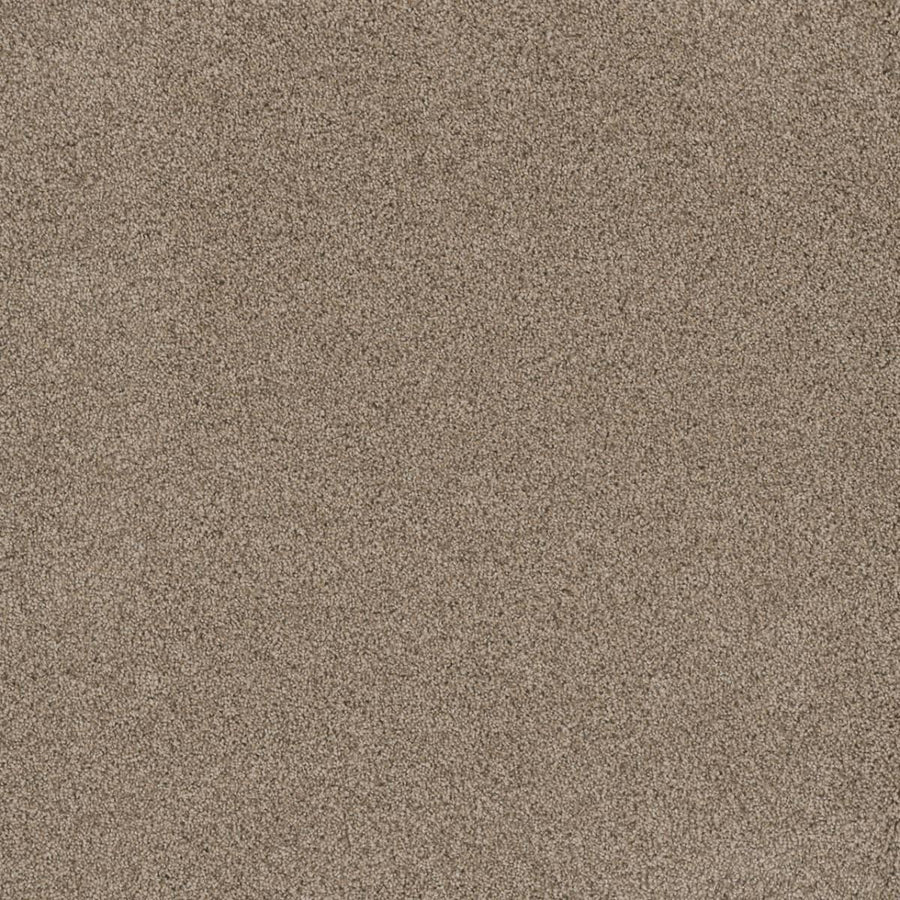 Close-up view of the smooth, even surface of Stunning Family Friendly Carpet in Linen, featuring fine grains that evoke the natural texture and uniform elegance of luxury flooring. No objects or patterns—just the soft, sandy look.