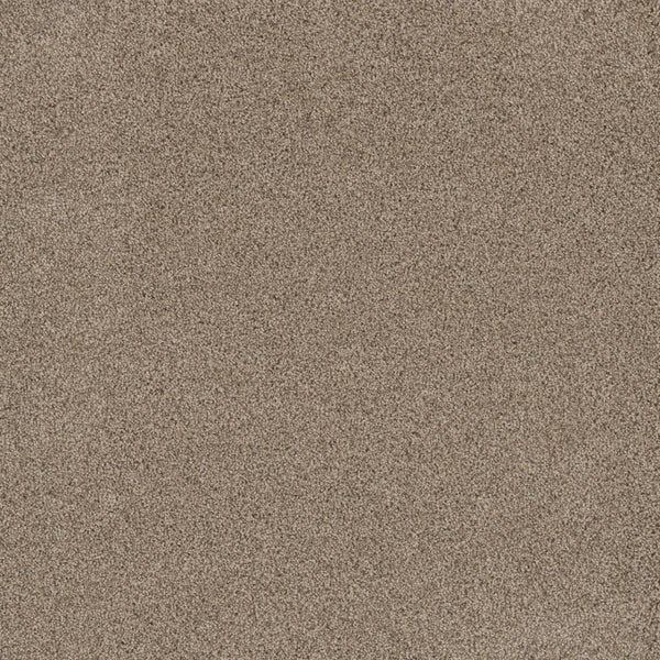 Close-up view of the smooth, even surface of Stunning Family Friendly Carpet in Linen, featuring fine grains that evoke the natural texture and uniform elegance of luxury flooring. No objects or patterns—just the soft, sandy look.