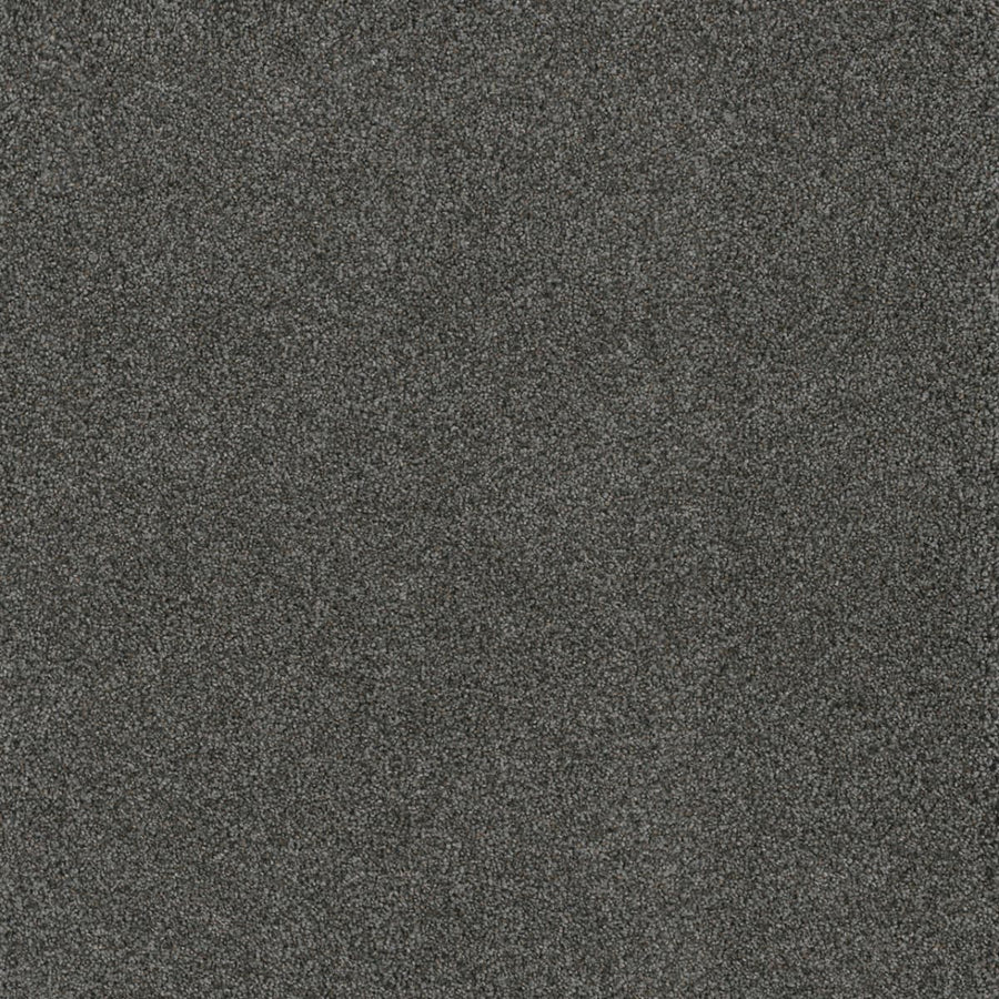 Close-up of the Stunning Family Friendly Carpet in Magma color, showcasing its dark gray, textured surface with a uniform and slightly speckled appearance.