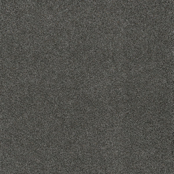 Close-up of the Stunning Family Friendly Carpet in Magma color, showcasing its dark gray, textured surface with a uniform and slightly speckled appearance.
