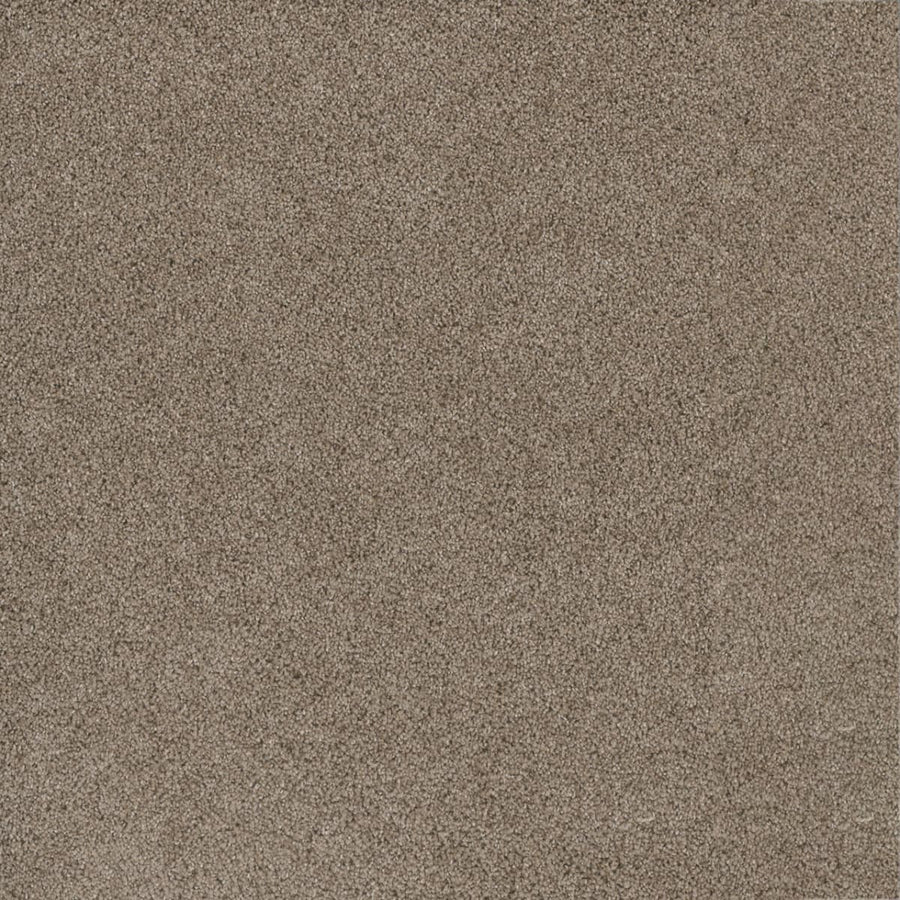 Close-up of a surface featuring fine, mocha-colored fibers, showcasing the uniform, textured look of Stunning Family Friendly Carpet.