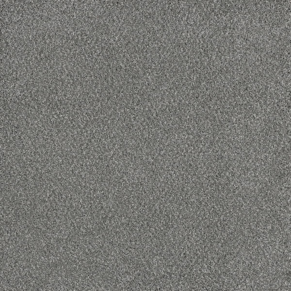 Close-up of the Stunning Family Friendly Carpet in Moonstone, featuring a dense looped pile for a soft, plush look—perfect for families, combining comfort and style.