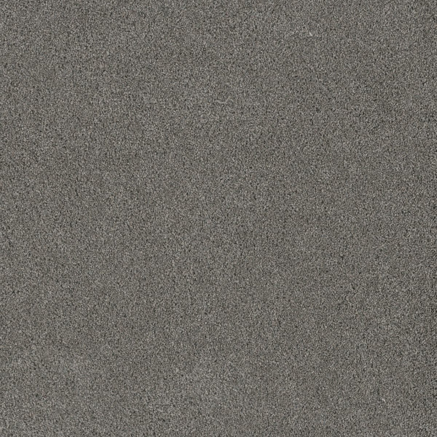 Close-up view of the Stunning Family Friendly Carpet in Orion, showcasing its fine, gray texture—reminiscent of elegant, durable luxury flooring perfect for any home.