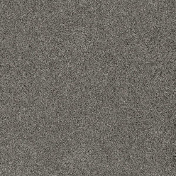 Close-up view of the Stunning Family Friendly Carpet in Orion, showcasing its fine, gray texture—reminiscent of elegant, durable luxury flooring perfect for any home.
