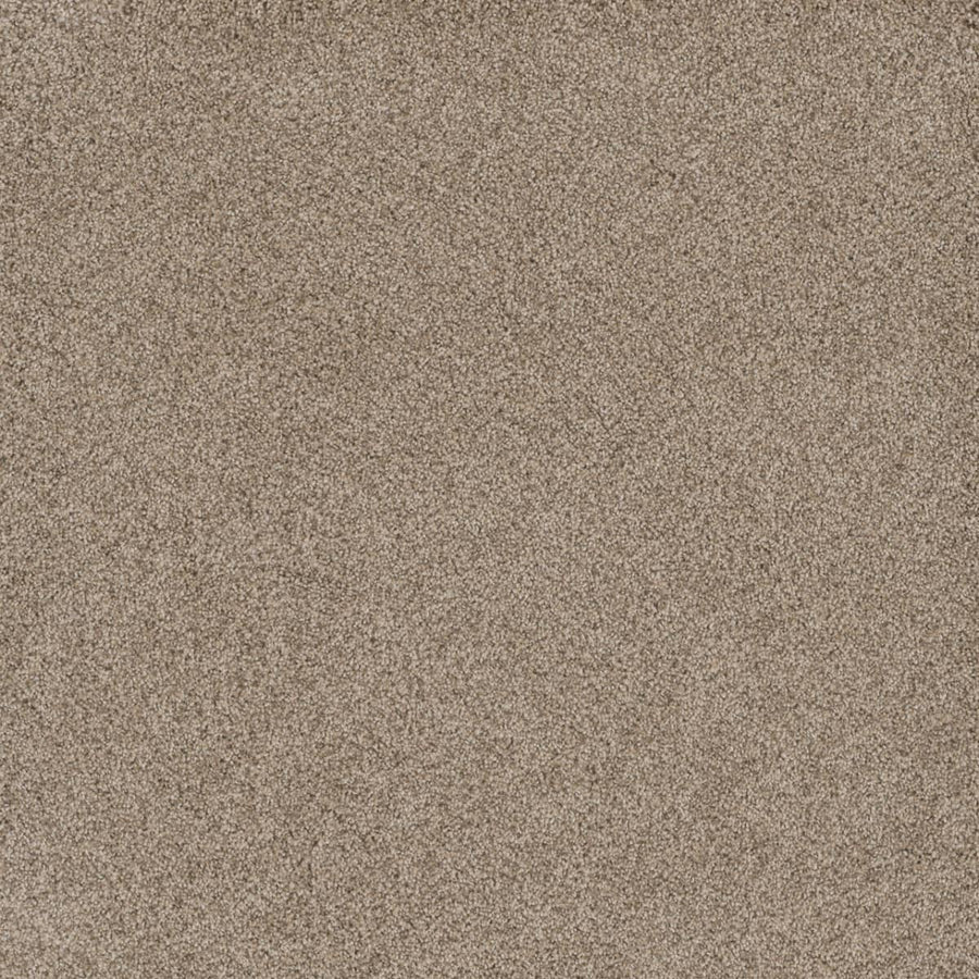 Close-up of Stunning Family Friendly Carpet in Oxford color, showcasing its fine, light brown texture filling the entire frame with no visible objects or features.