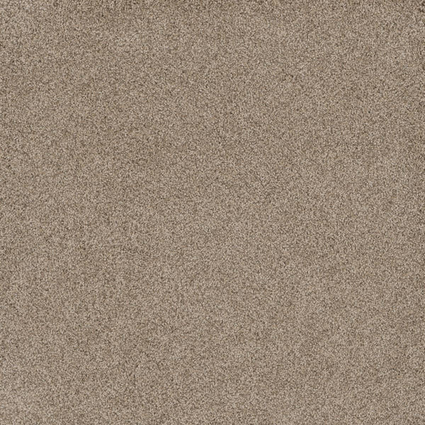 Close-up of Stunning Family Friendly Carpet in Oxford color, showcasing its fine, light brown texture filling the entire frame with no visible objects or features.
