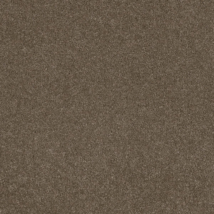 A close-up of Stunning Family Friendly Carpet in Peppercorn shows a smooth, uniform texture—offering the beauty and practicality ideal for any family space.
