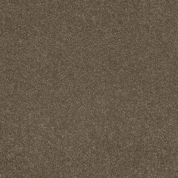 A close-up of Stunning Family Friendly Carpet in Peppercorn shows a smooth, uniform texture—offering the beauty and practicality ideal for any family space.
