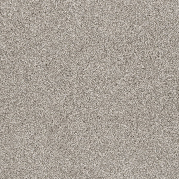 Close-up of the Stunning Family Friendly Carpet in Porcelain—a light gray, textured surface with a soft, dense pile and uniform look. Ideal for families seeking both comfort and luxurious flooring in any home.