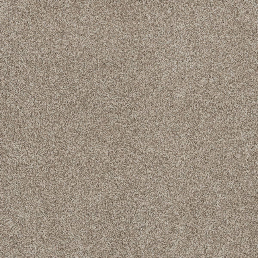 Close-up view of Stunning Family Friendly Carpet in Seashells color, showing fine, light brown fibers with a slightly rough texture—resembling luxury flooring and offering a stain resistant surface with no visible patterns or objects.