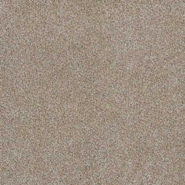 Close-up view of Stunning Family Friendly Carpet in Seashells color, showing fine, light brown fibers with a slightly rough texture—resembling luxury flooring and offering a stain resistant surface with no visible patterns or objects.