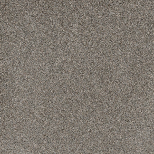 Close-up view of Stunning Family Friendly Carpet in the color Shadows, featuring a speckled pattern with shades of brown, gray, and tan for a luxury, stain-resistant finish.