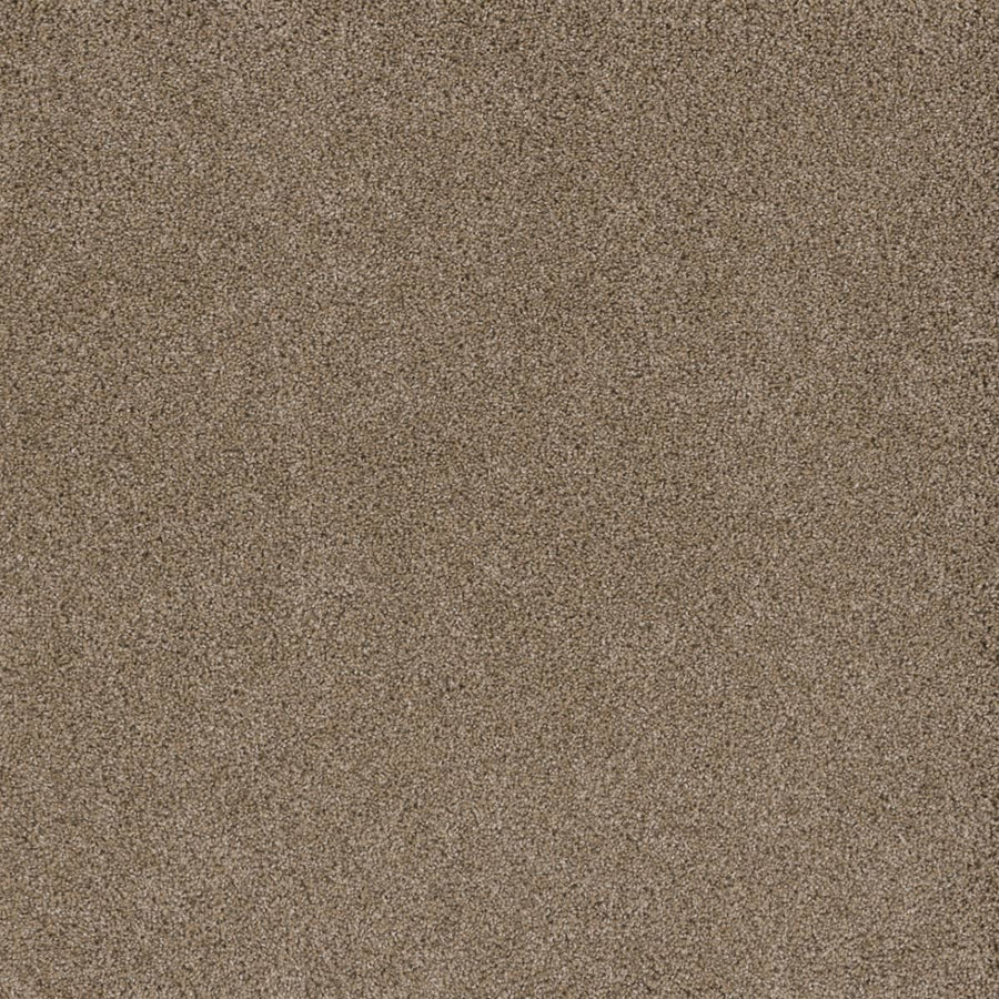 Close-up of the Stunning Family Friendly Carpet in Straw, revealing its dense, even pile and fine fibers for a soft, uniform look—stylish and practical for busy homes.
