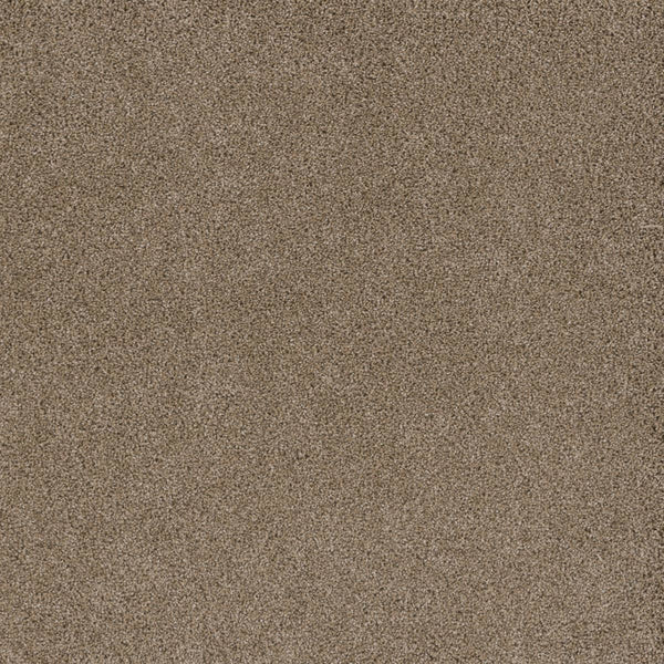 Close-up of the Stunning Family Friendly Carpet in Straw, revealing its dense, even pile and fine fibers for a soft, uniform look—stylish and practical for busy homes.