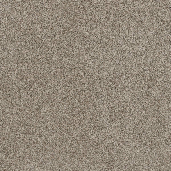 Close-up of Stunning Family Friendly Carpet in Stucco color, featuring a fine texture and even surface for a soft, sophisticated look reminiscent of luxury flooring.