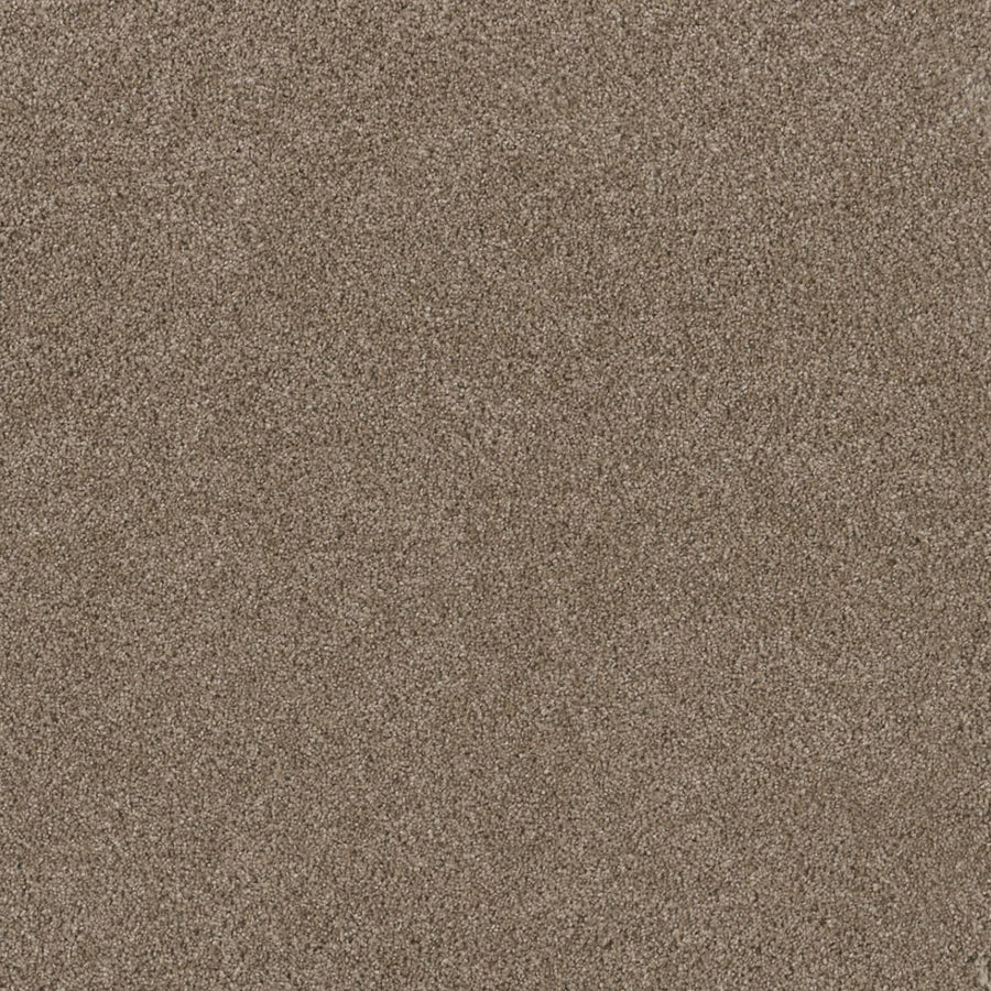 Close-up of the Stunning Family Friendly Carpet in Tumbleweed color, showcasing its fine texture and uniform appearance that evokes the look of luxury flooring.