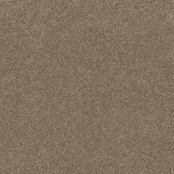 Close-up of the Stunning Family Friendly Carpet in Tumbleweed color, showcasing its fine texture and uniform appearance that evokes the look of luxury flooring.