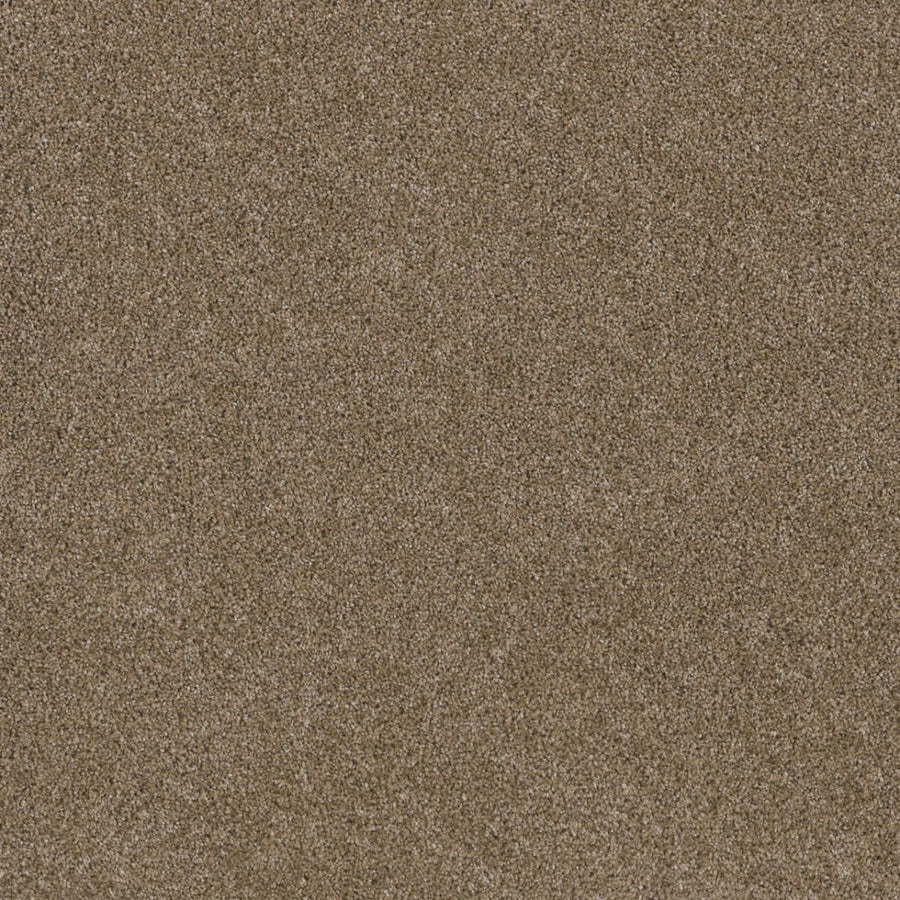 Close-up of Stunning Family Friendly Carpet in Wicker color, showing a uniform, fine grainy texture across the surface—no visible patterns or objects—evoking the look of high-quality, stain-resistant flooring.
