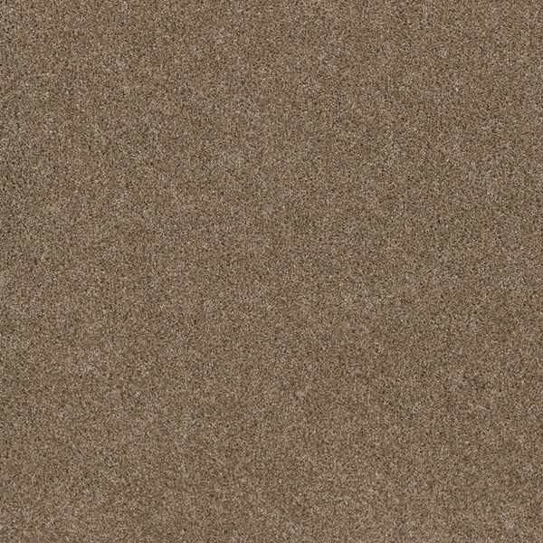 Close-up of Stunning Family Friendly Carpet in Wicker color, showing a uniform, fine grainy texture across the surface—no visible patterns or objects—evoking the look of high-quality, stain-resistant flooring.