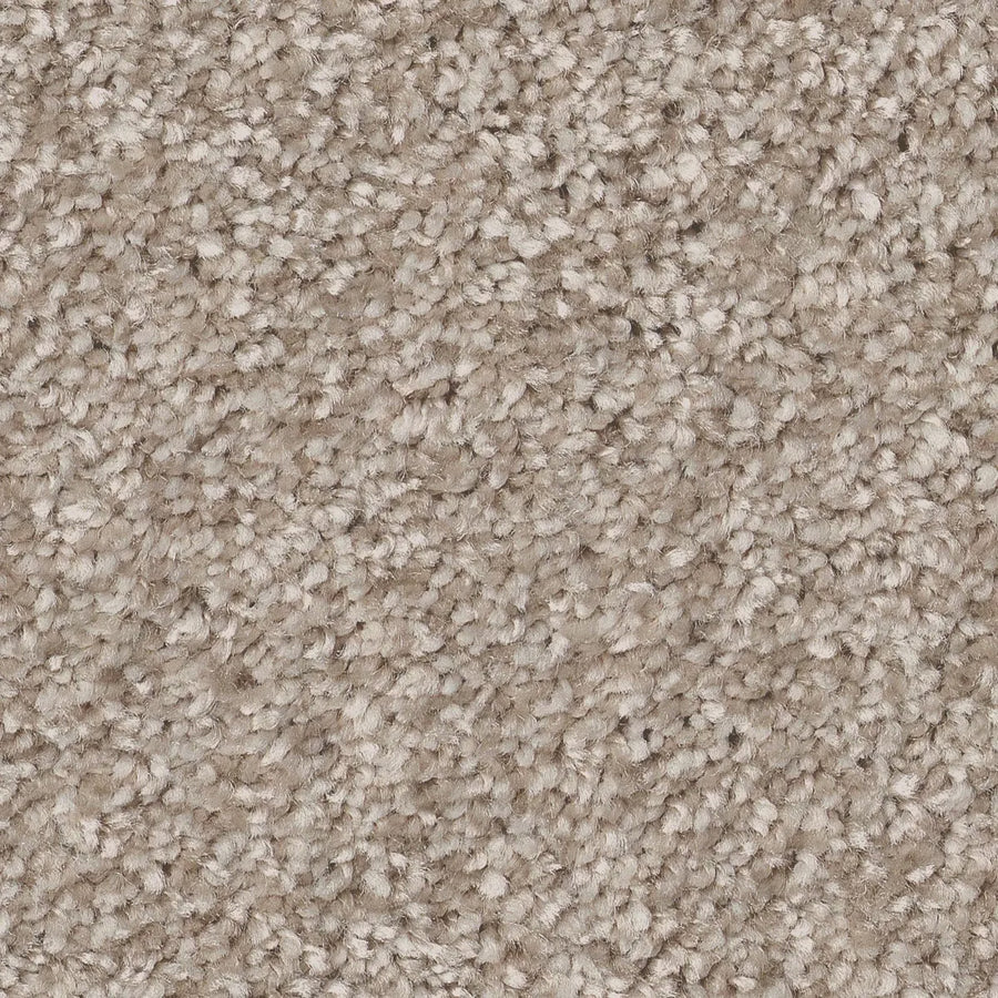Close-up of You Got This III Pet Friendly Carpet in Subtle. This beige, loop-pile carpet features tightly packed yarns for durability and a soft feel underfoot. Its textured, woven look and subtle color variations create modern appeal.